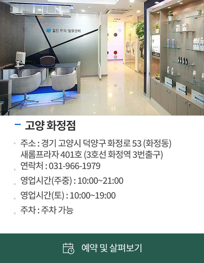 스팟1